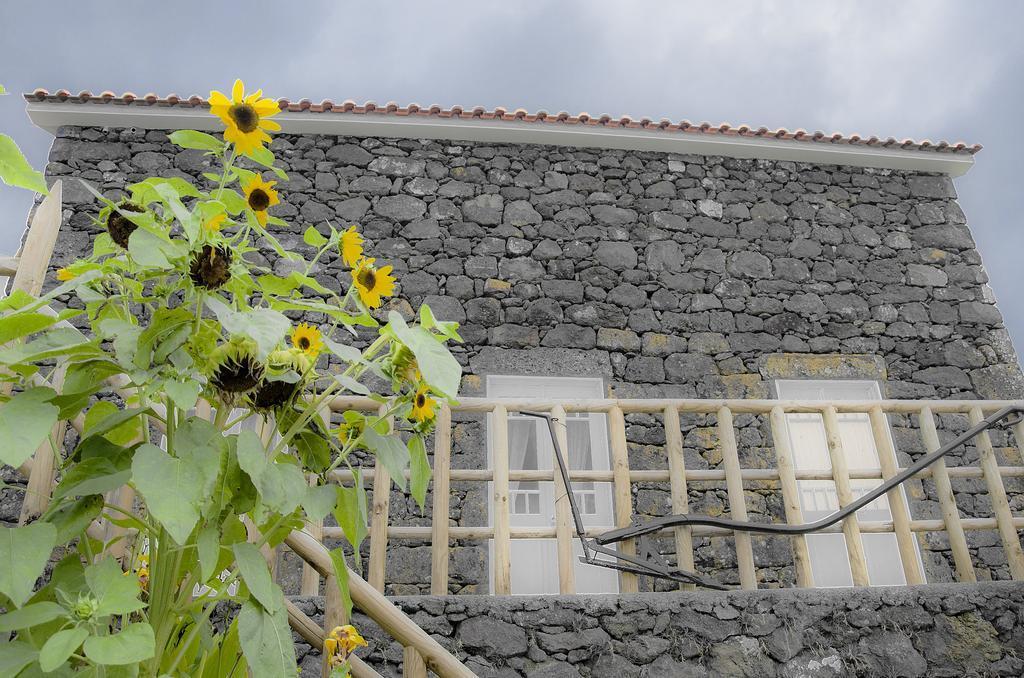 Villa Stone Dreams - Pedra Da Atafona à Calheta de Nesquim Extérieur photo