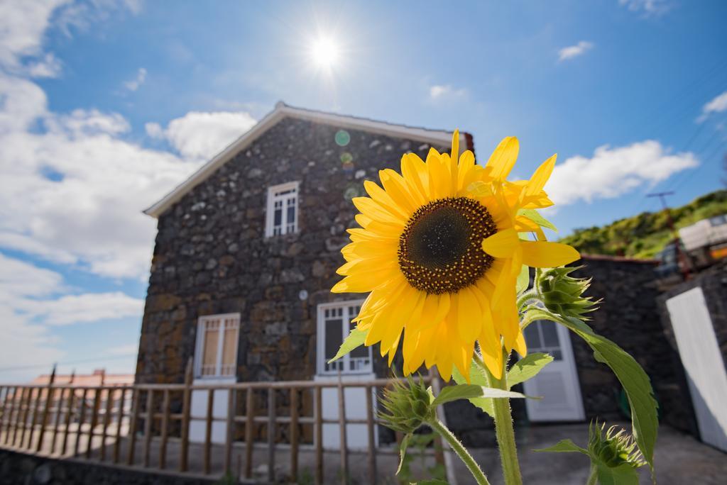 Villa Stone Dreams - Pedra Da Atafona à Calheta de Nesquim Extérieur photo